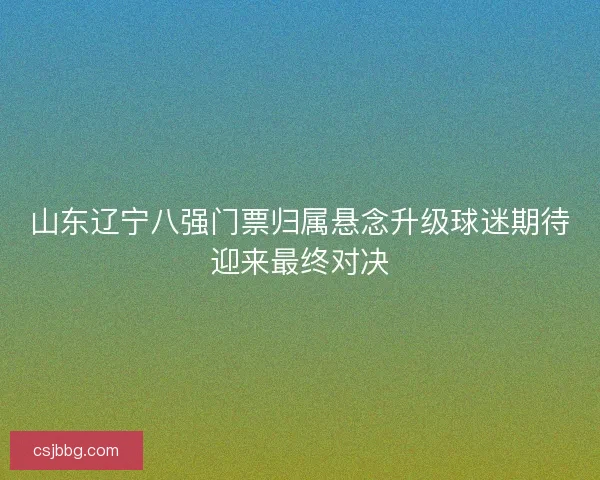 山东辽宁八强门票归属悬念升级球迷期待迎来最终对决